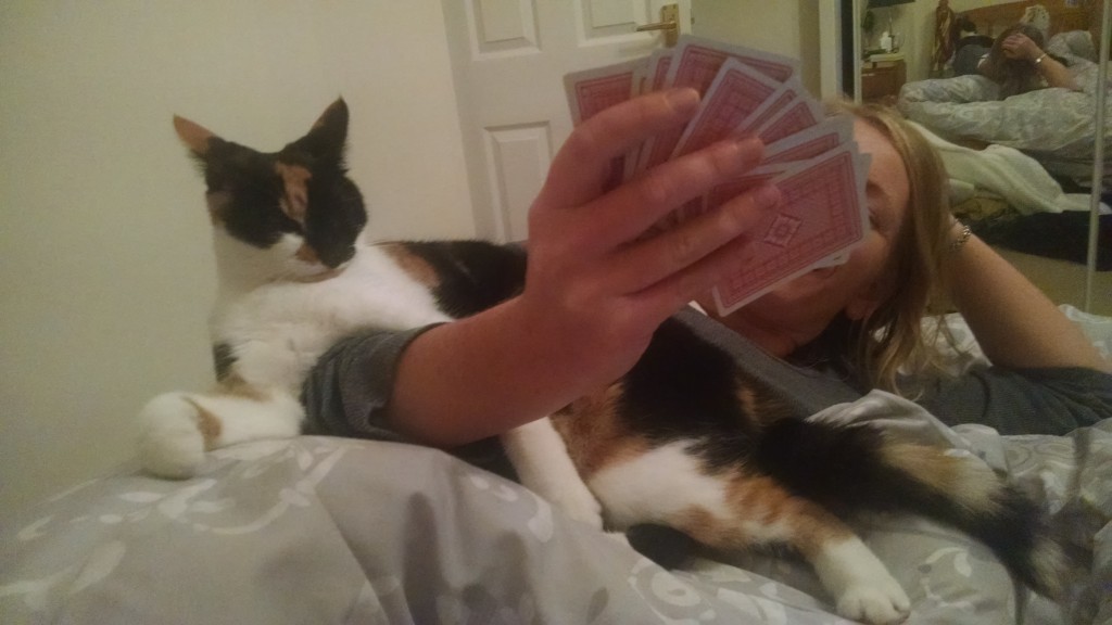 Bella playing cards