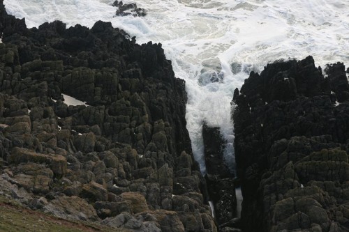 Gower cliffs