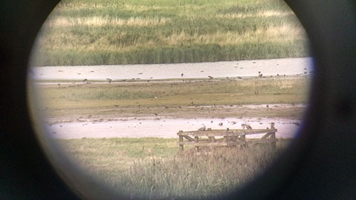 Through the binoculars at Cley Visitor Centre