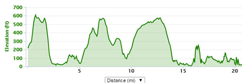 Gower marathon elevation
