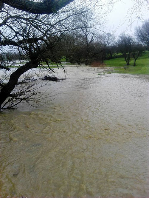 Croyland park  Wellingborough - flooded