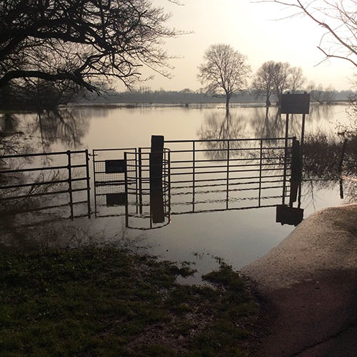 St Ives park - flooded
