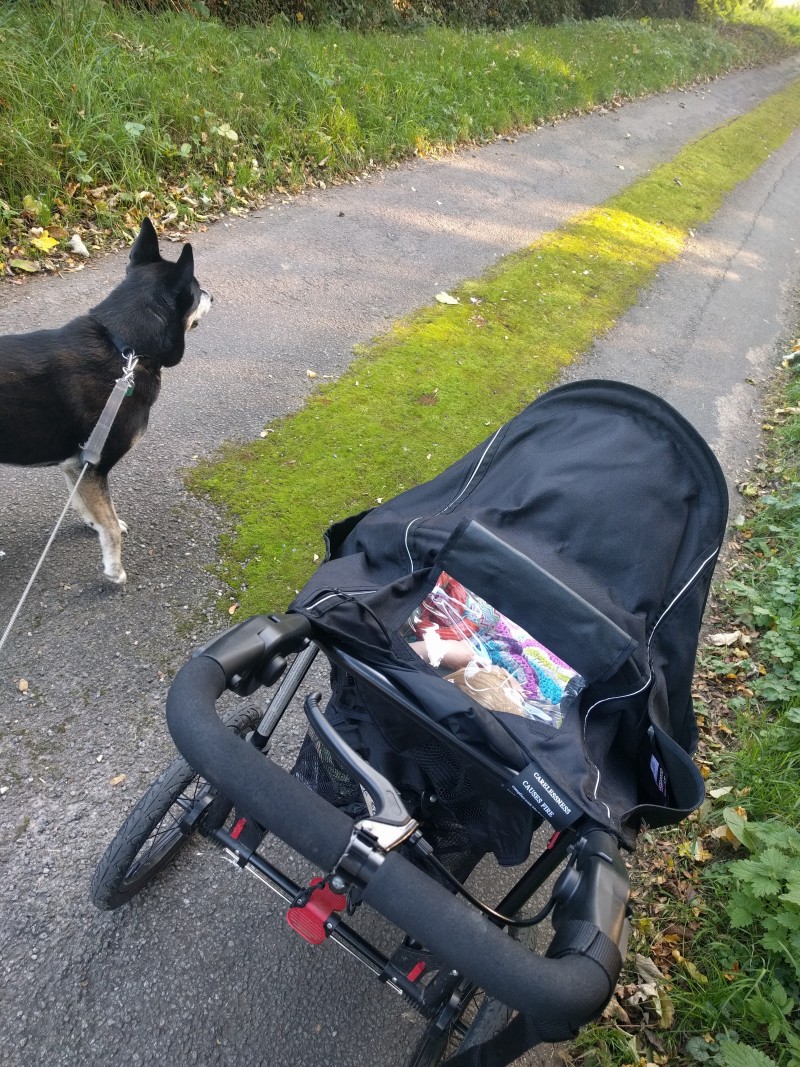 Oscar and Blue out on a walk