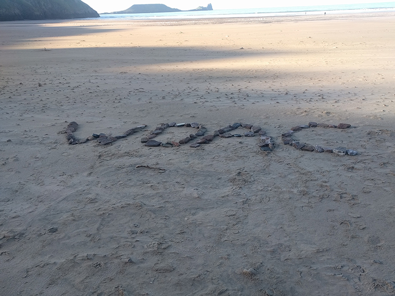 WDAC shells on Gower beach