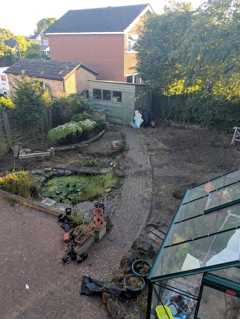 Our back garden