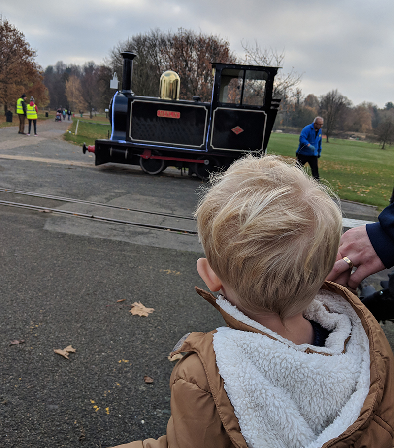 Oscar watching the train at Wickstead park
